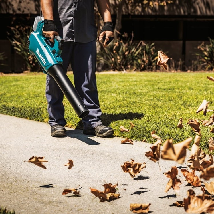 d8a28c0a9c02a1462e6e9d3ecb79cf61
