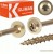 WKRĘTY CIESIELSKIE TALERZOWE DO DREWNA KLIMAS WKCP 5x120 ŁEB TORX 150 SZT